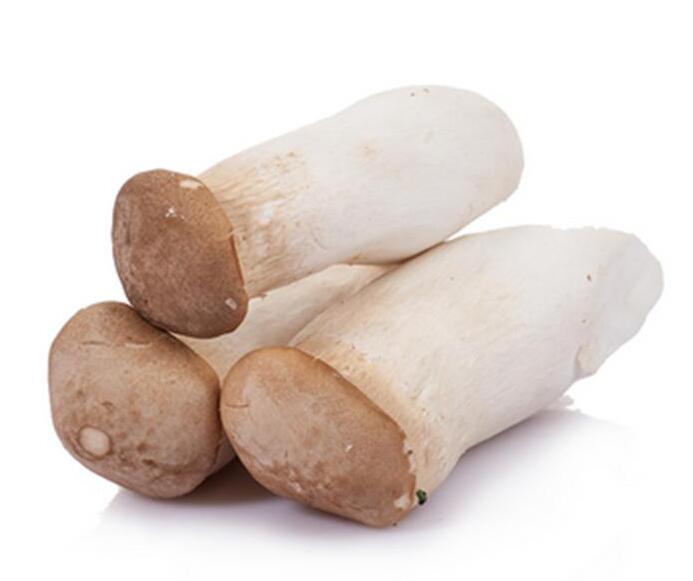 雞腿菇發酵產品的研制